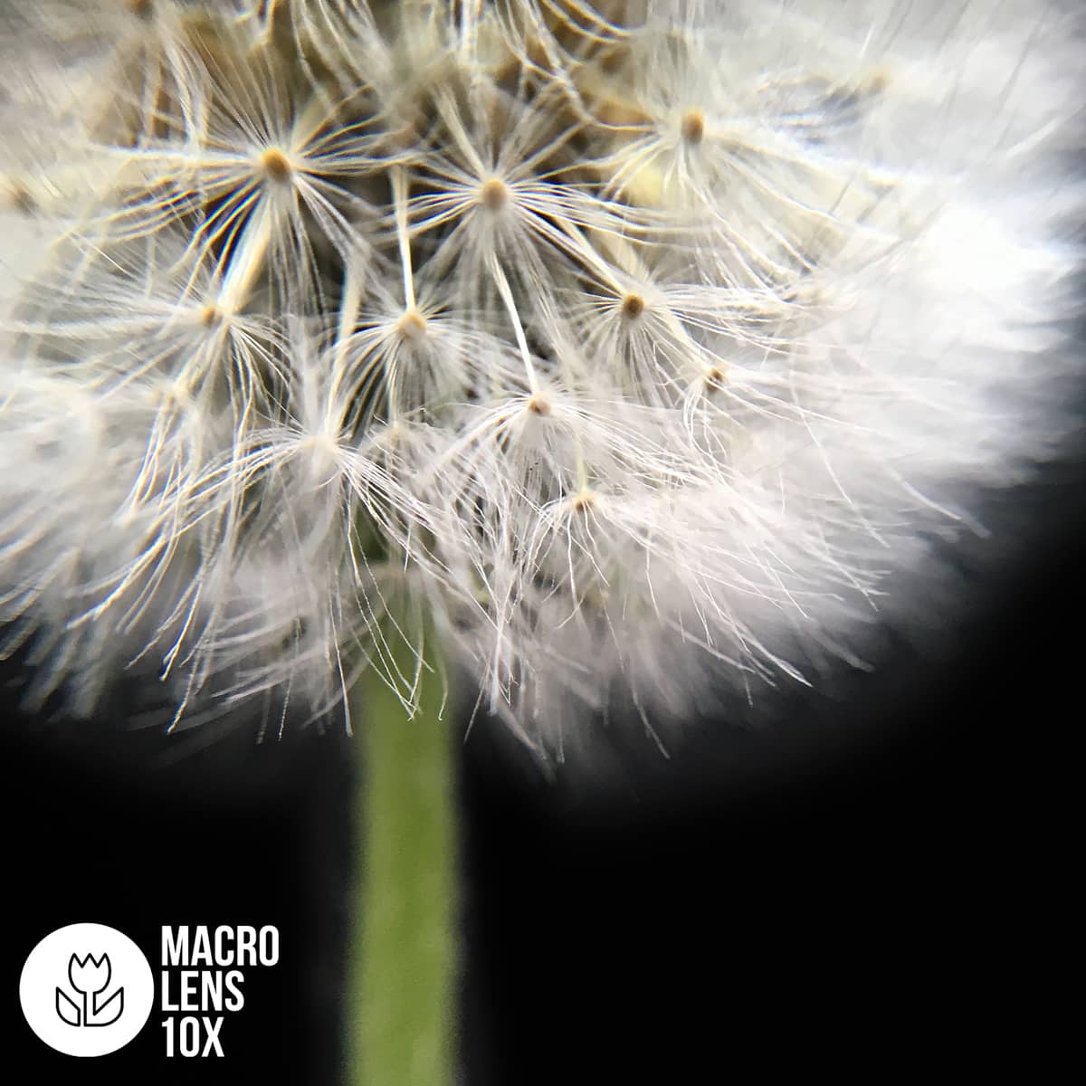 Lentes para celulares - Lenz Photo Store