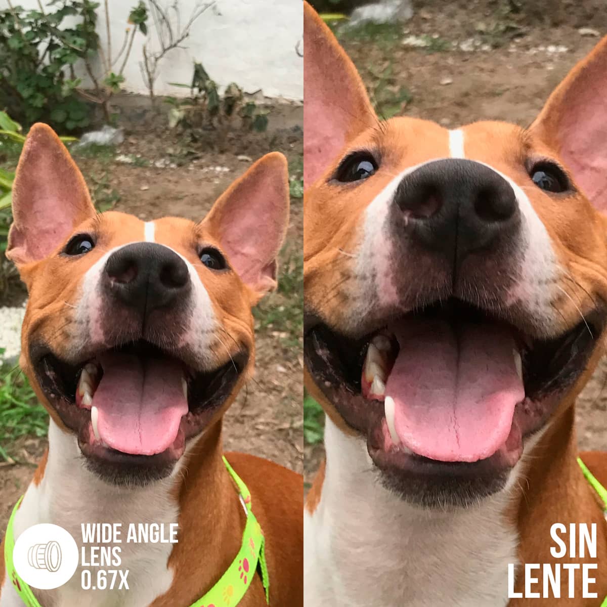 Lentes para celulares - Lenz Photo Store
