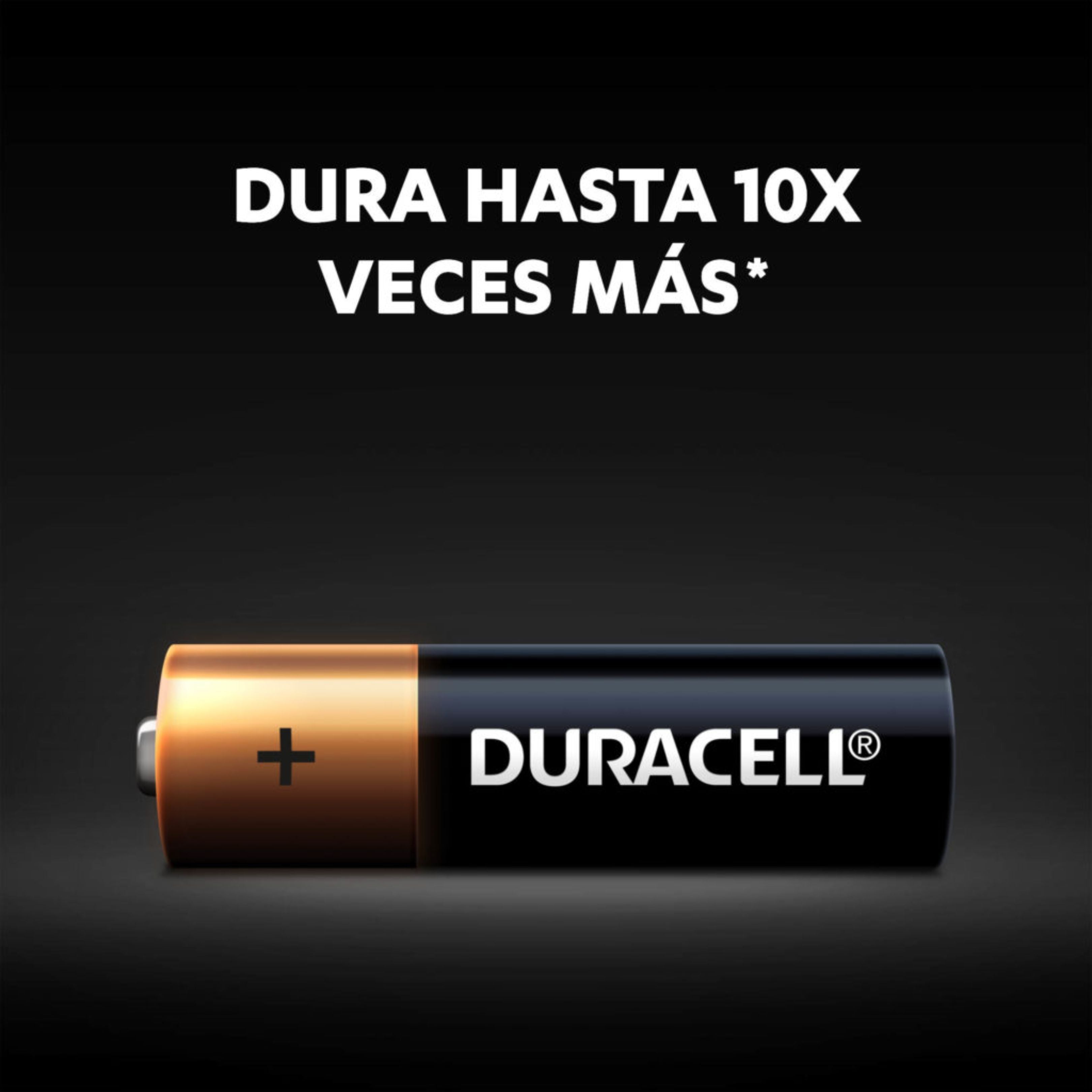Pilas Alcalinas Duracell De 1,5v AA