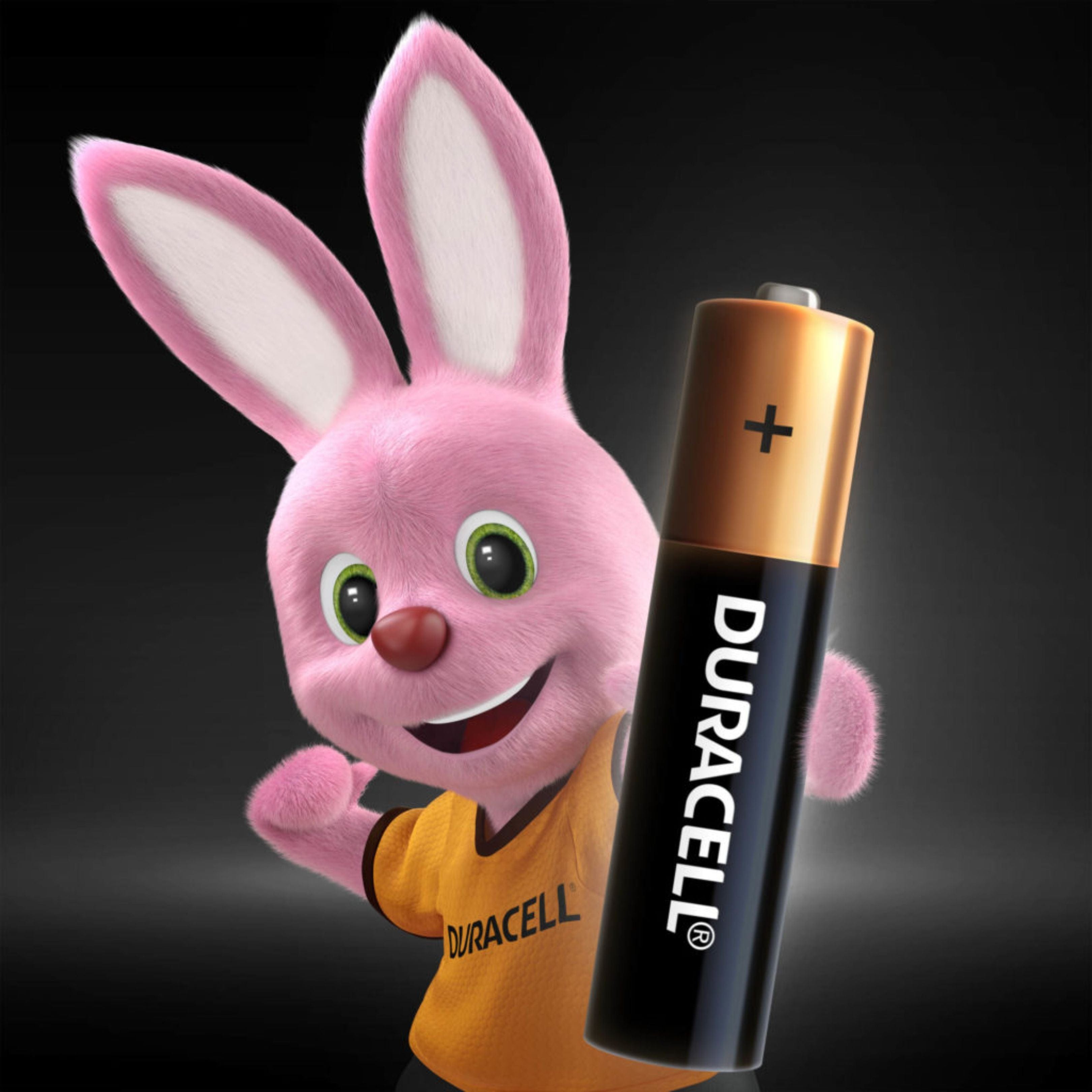 Pilas Alcalinas Duracell De 1,5v AAA