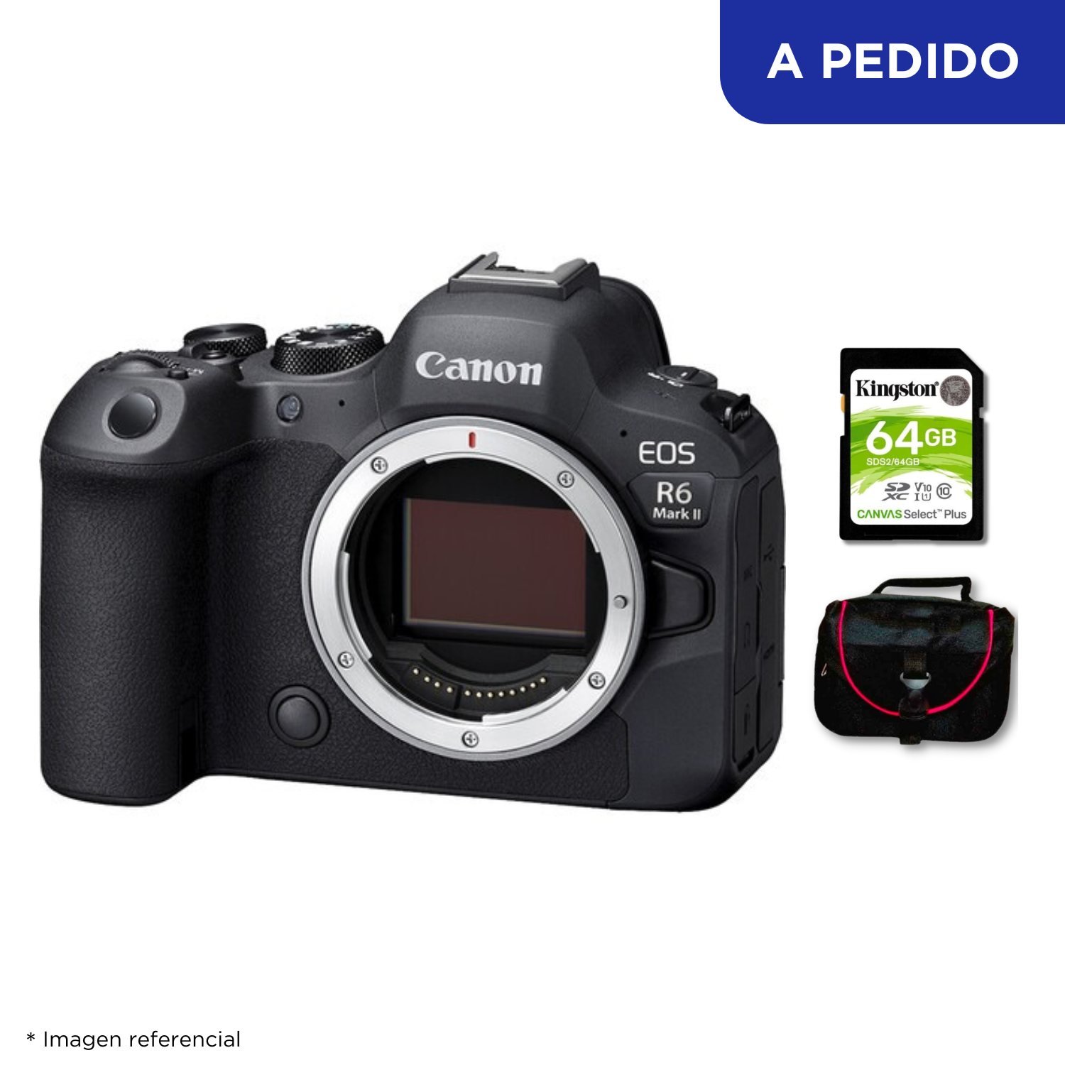 Cámara Canon EOS R6 Mark II (Cuerpo Solo) + Kit Básico de Accesorios