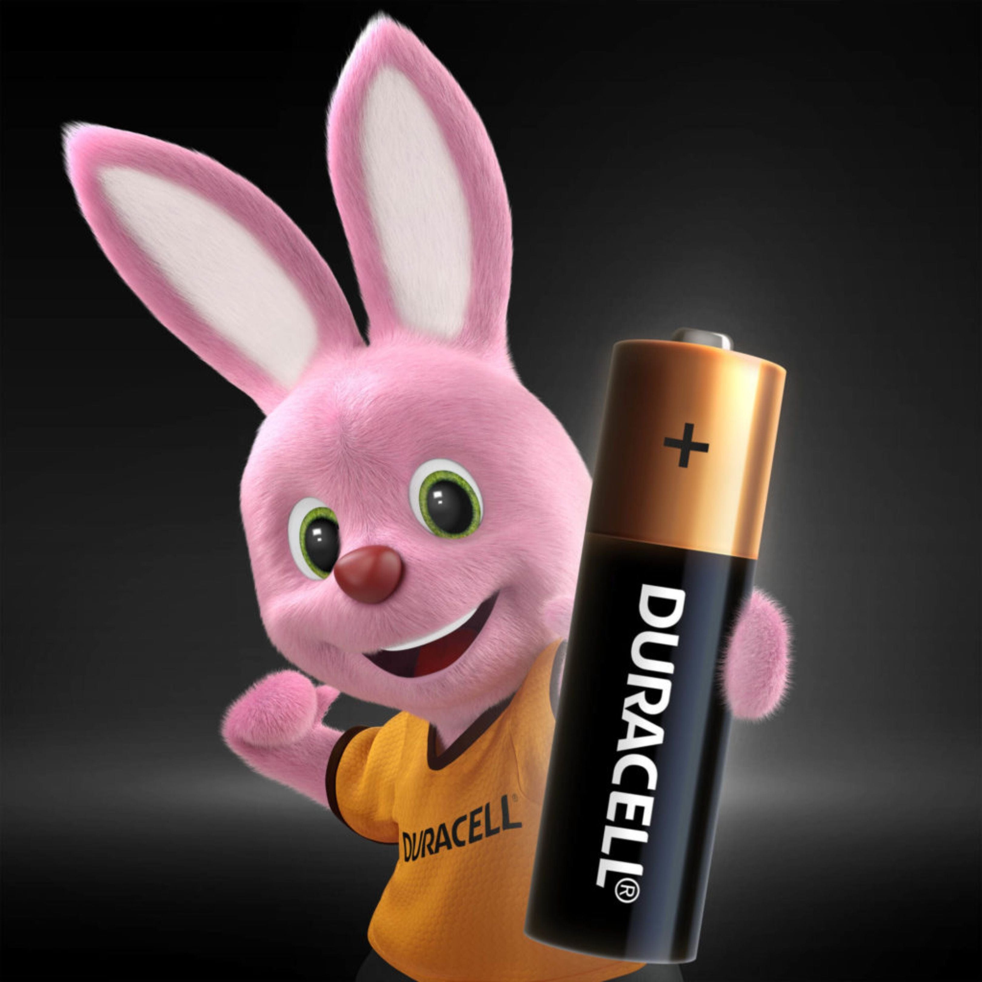 Pilas Alcalinas Duracell  De 1,5v AA