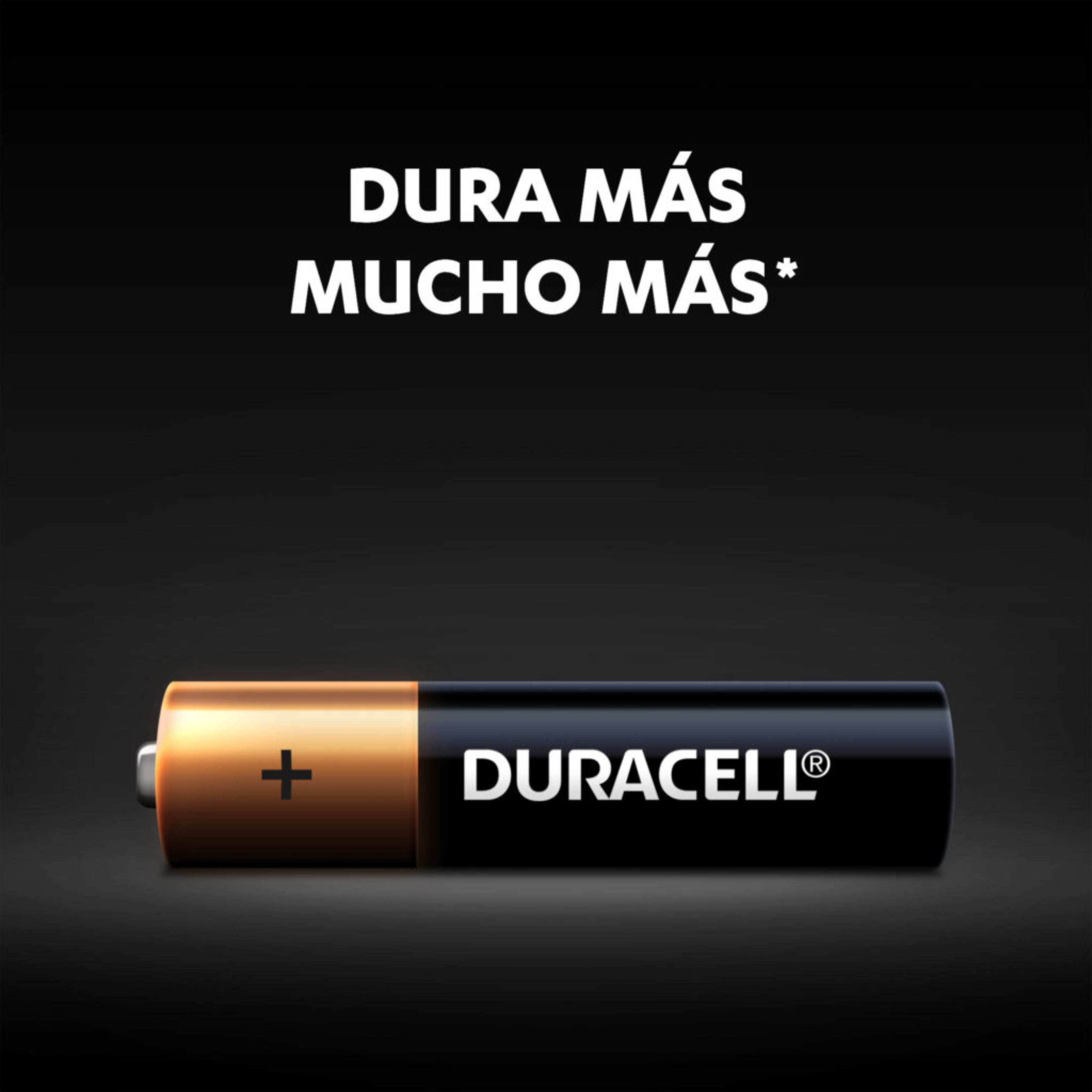 Pilas Alcalinas Duracell  De 1,5v AAA