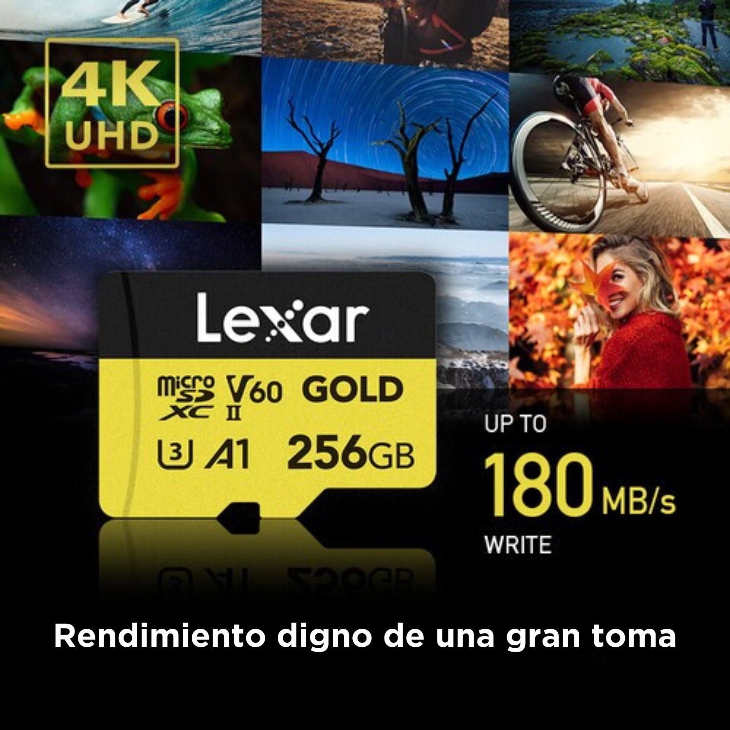 Memoria Micro SDXC U3 V60 Lexar Professional 256GB - W:180MB/s -R:280MB/s GOLD